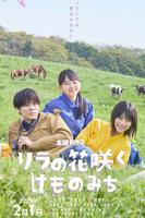 丁香花电视剧在线观看免费版